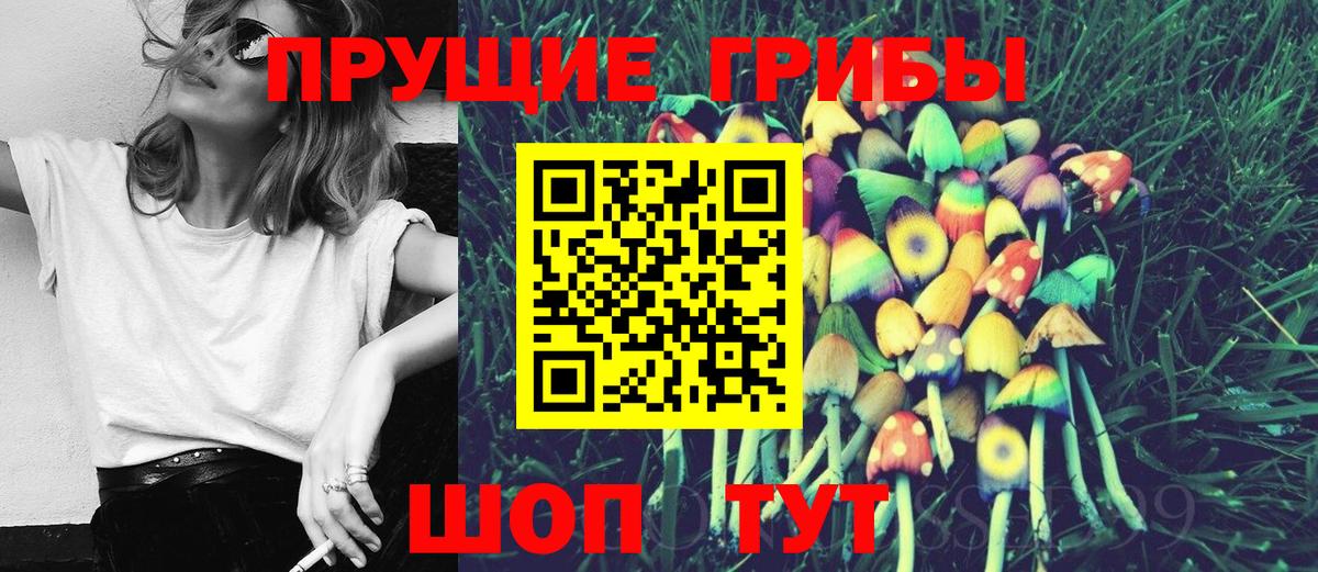 Галлюциногенные грибы GOLDEN TEACHER Обнинск