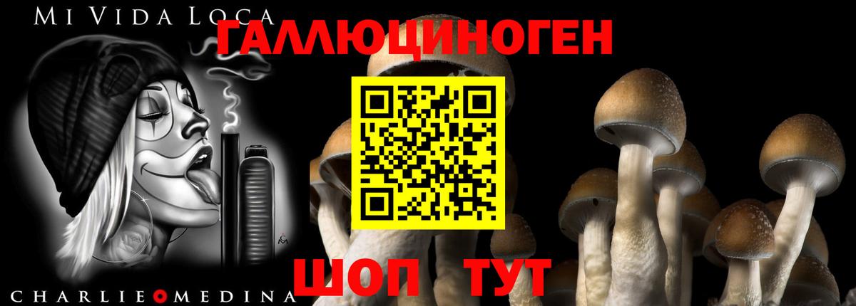 Обнинск  продажа наркотиков  Вход с VPN  Псилоцибиновые грибы Cubensis 
